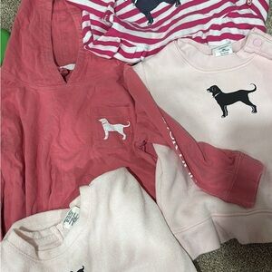 The Black Dog Kids Pink Dog Print Hoodie and Sweatshirt Set